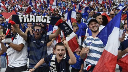 Des supporters de l'équipe de France assistent au match amical contre&nbsp;les Etats-Unis, à Lyon (Rhône) le 9 juin&nbsp;2018. (PHILIPPE DESMAZES / AFP)