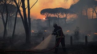 Un pompier lutte contre les flammes d'un feu de forêt, le 17 août 2021 à Gonfaron (Var). (NICOLAS TUCAT / AFP)