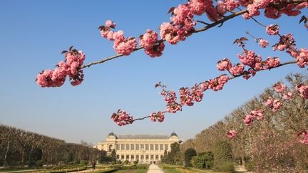 Le jardin des Plantes de Paris au coeur du cinquième arrondissement 
 (ESCUDERO PATRICK / HEMIS.FR / AFP)