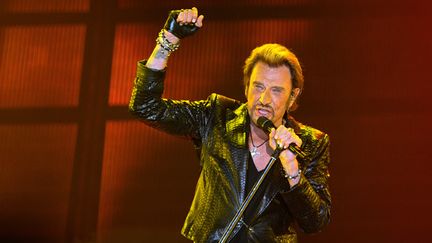 Johnny Hallyday, Bordeaux le 2 juin 2017
 (Nicolas Tucat/AFP)