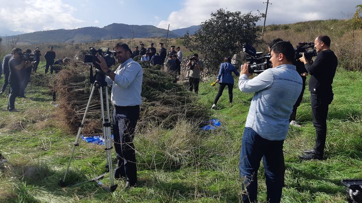 Des médias azerbaïdjanais ont filmé les champs de cannabis présentés par les autorités. (MARIE-PIERRE VEROT / RADIOFRANCE)