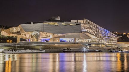 Le musée des Confluences de lyon, vu la nuit
 (Quentin Lafont - 2015- Musée des Confluences, Lyon, France)