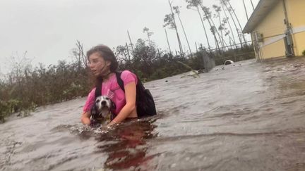 Une jeune habitante de Freeport&nbsp;tente de sauver son chien de la montée des eaux, le 3 septembre 2019.&nbsp; (TIM AYLEN / AP / SIPA)