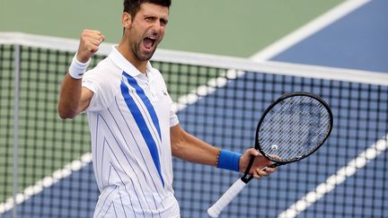 Novak Djokovic, vainqueur du tournoi de Cincinnati grâce à sa victoire en trois sets face à Milos Raonic. (MATTHEW STOCKMAN / GETTY IMAGES NORTH AMERICA)