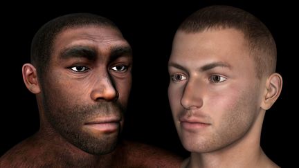 &nbsp; (Homo erectus et sapiens © Fotolia)