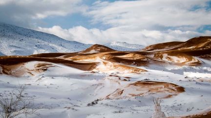 Les alentours de la ville d'Aïn Sefra en Algérie,&nbsp;le 21&nbsp;janvier 2017. (Geoff Robinson / SIPA)