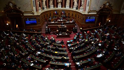 Le Sénat le 1er avril 2021. Photo d'illustration. (MARTIN BUREAU / AFP)