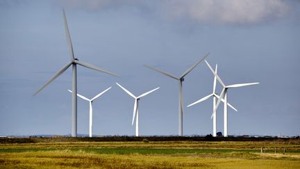 Des éoliennes tournent à Bouin (Vendée), le 13 août 2018. (PHILIPPE ROY / AFP)