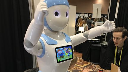 Un robot compagnon pour enfants au CES 2017 de Las Vegas (JEROME COLOMBAIN / RADIO FRANCE)