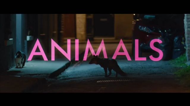 "Animals" au festival de Dinard