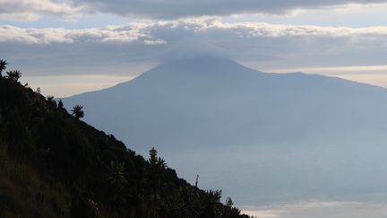 Le parc national des Virunga, en République démocratique du Congo, le 11 décembre 2016. (JUERGEN BAETZ / DPA / AFP)