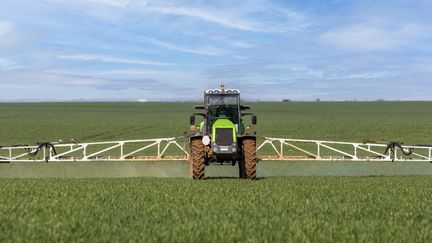 Un tracteur répand&nbsp;un traitement chimique dans un champ de maïs dans l'Oise, le 2 juin 2021. (SYLVAIN CORDIER / BIOSPHOTO / AFP)