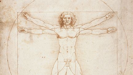 "Les proportions humaines" ou "L'homme de Vitruve" de Léonard de Vinci, 1490. (LEEMAGE)