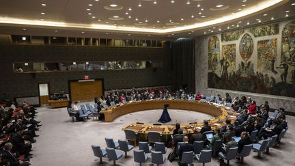 The UN Security Council meeting at the organization's headquarters in New York, March 22, 2024. (ANGELA WEISS / AFP)