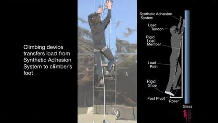 Une capture d'&eacute;cran d'une vid&eacute;o publi&eacute;e le 18 novembre 2014 sur le compte YouTube du "Guardian" montre un chercheur am&eacute;ricain qui escalade une paroi en verre, comme Spiderman. (GUARDIAN TECH / YOUTUBE)