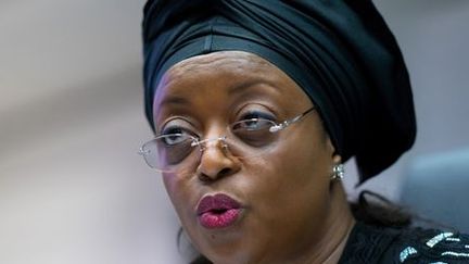 Diezani Alison-Madueke en 2014, lors d'un sommet de l'Opep dont elle était présidente. (Joe Klammar/AFP)