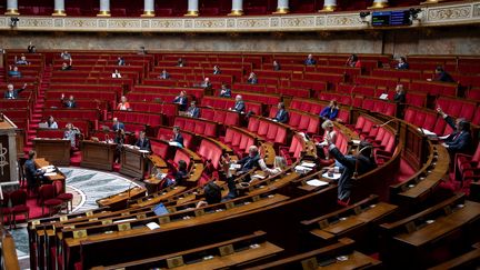 L'hémicycle de l'Assemblée nationale, le 8 mai 2020 à Paris.&nbsp; (THOMAS SAMSON / AFP)