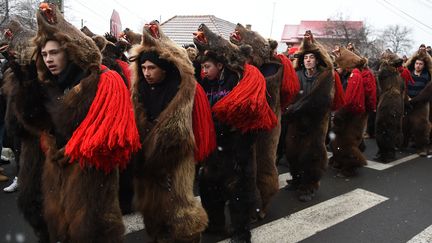 Des habitants de la ville de Comanesti, dans l'est de la Roumanie, paradent déguisés en ours pour célébrer le passage à l'année 2016, mercredi 30 décembre 2015. (DANIEL MIHAILESCU / AFP)