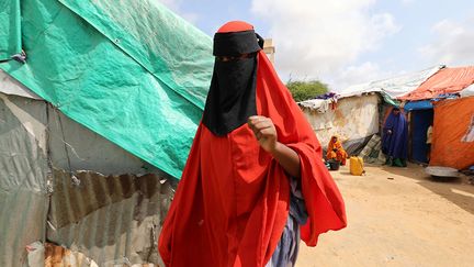 Aujourd’hui, il est difficile de dire quand le Parlement va pouvoir voter ce projet de loi alors que la Somalie est en pleine instabilité politique et lutte contre une insurrection islamiste. Le ministre de l’Agriculture de l’État de Hirshabelle, Abdukadir Abukar, a été abattu le 17 août et en juillet, le Premier ministre Hassan Ali Khaire a été limogé par le parlement. La présidence somalienne et le ministère de la Santé n’ont pour l’instant indiqué aucune date sur la mise aux voix du projet de loi.&nbsp; (FEISAL OMAR / REUTERS)