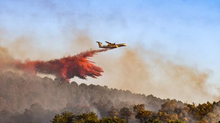 L'incendie&nbsp;de Vallabrix (Gard) est fixé, après avoir détruit 40 hectares de végétation en une demi-journée, le 24 juillet 2022. (MICKAEL ANISSET / MAXPPP)