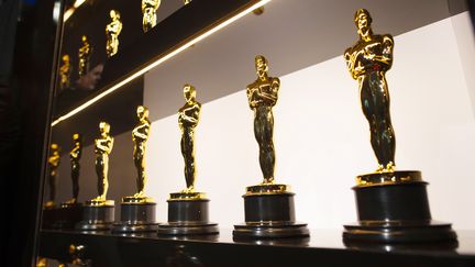 Les statuettes des Oscars, exposées dans les coulisses de la 92e édition de la cérémonie, en 2020. Depuis 1993, la France n'a pas remporté le trophée du meilleur film étranger.&nbsp; (HANDOUT / GETTY IMAGES NORTH AMERICA)