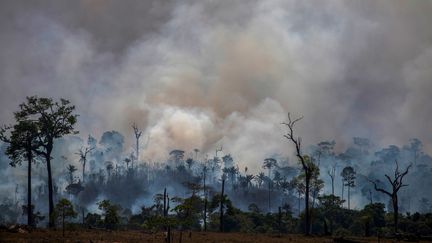 Des feux de forêt près d'Altamira dans le bassin amazonien, au Brésil, le 27 août 2019. (JOAO LAET / AFP)