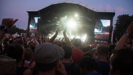 Au festival Rock en Seine, le 23 août 2019. (SANDRINE MARTY / HANS LUCAS / AFP)