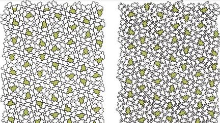 Une forme géométrique légendaire : le pavage mono-tuile ou pavage apériodique. (DAVID SMITH / JOSEPH SAMUEL MYERS / CRAIG S. KAPLAN & CHAIM GOODMAN-STRAUSS)