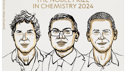 The Nobel Prize in Chemistry is awarded to the Americans David Baker and John Jumper, as well as to the British Demis Hassabis, on October 9, 2024. (NOBEL ACADEMY)