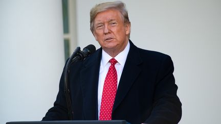 Donald Trump, le 1er décembre 2019, lors d'un discours pour la fête de&nbsp;Thanksgiving à la Maison Blanche, à Washington.&nbsp; (SAUL LOEB / AFP)