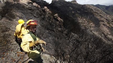 Des pompiers apr&egrave;s le passage du feu au Parc national de Garajonay, dans l'&icirc;le de la Gomera, le 7 ao&ucirc;t. (DESIREE MARTIN / AFP)