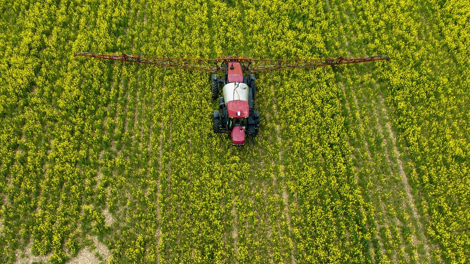 U.S. increasingly uses perennial pollutants as pesticides, study says