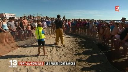 À Port-la-Nouvelle (Aude), une centaine de touristes est venue participer à l'expérience. Et si la pêche à la traîne est loin d'être productive ce matin-là, le public découvre les difficultés du métier de pêcheur. (FRANCE 2)