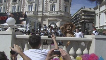 Le show signé Madagascar
 (Culturebox / France 3 Côte d&#039;Azur)