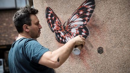 L'artiste C215 peignant des papillons sur les murs de l'hôpital psychiatrique Sainte Anne à Paris, le 18 juin 2019 (THOMAS SAMSON / AFP)