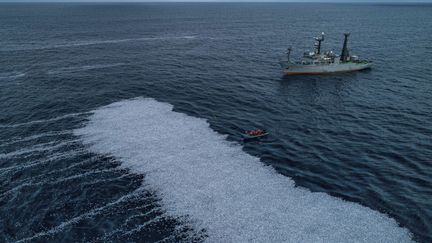 Des milliers de poissons morts photographiés au large du golfe de Gascogne,&nbsp;le 3 février 2022. (SEA SHEPHERD FRANCE / TWITTER)