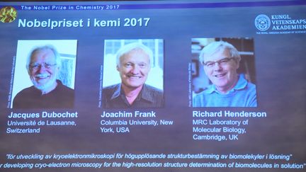 Les lauréats du prix Nobel de chimie 2017, Jacques Dubochet, Joachim Frank et Richard Henderson, présentés&nbsp;par l'Académie royale des sciences de Suède, le 4 octobre 2017.&nbsp; (JONATHAN NACKSTRAND / AFP)