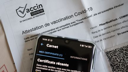 Illustration d'un certificat de vaccination sur l'application TousAntiCovid, le 1er juillet 2021. (RICCARDO MILANI / HANS LUCAS)