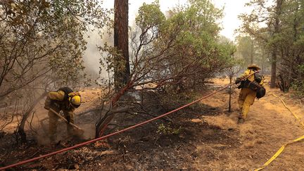 Des pompiers se battent contre l'incendie Carr, en Californie, le 28 juillet 2018. (BOB STRONG / REUTERS)