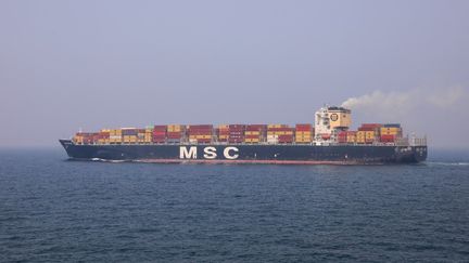 Un porte-conteneur MSC, au large de Bombay (Inde), le 3 novembre 2023. (NIHARIKA KULKARNI / NURPHOTO / AFP)