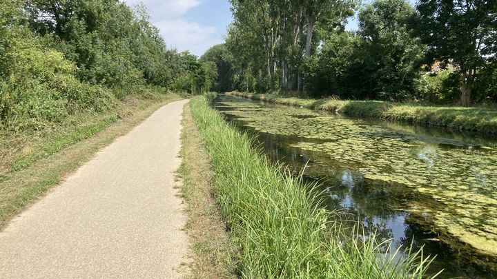 En toute saison, on peut parcourir à pied ou à vélo le chemin qui longe le canal du Berry. Près de saules pleureurs et de platanes, on profite des aménagements sur les berges : bancs, tables de pique-nique et boîtes à livres. (INGRID POHU / RADIOFRANCE)