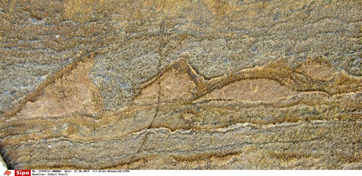 Stromatolite découvert au Groenland par des scientifiques australiens qui attesterait de la présence de vie microbienne il y a 3,7 milliards d'année.&nbsp; (ALLEN NUTMAN/AP/SIPA / AP)