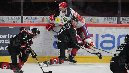 Un match de Ligue Magnus entre Amiens et Grenoble (illustration janvier 2020). (HASLIN / MAXPPP)