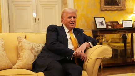 Donald Trump à l'ambassade du Royaume-Uni en France, à Paris, le 7 décembre 2024. (AARON CHOWN / AFP)