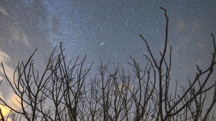 Un salon scientifique a annoncé, le 13 décembre 2017, avoir créé de nouvelles constellations pour&nbsp;que les plus jeunes&nbsp;s'intéressent à l'univers. (OZKAN BILGIN / ANADOLU AGENCY / AFP)