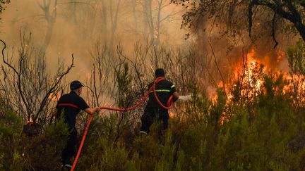 Des pompiers tentent de maîtriser un incendie de forêt près de Rabat, au Maroc, le 15 juillet 2022. (JALAL MORCHIDI / ANADOLU AGENCY)