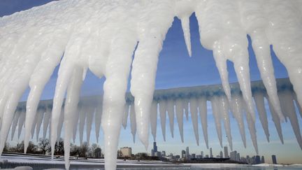 La "skyline" de Chicago (Illinois, Etats-Unis) encadr&eacute;e de stalagtites, le 8 janvier 2014. (JIM YOUNG / REUTERS)