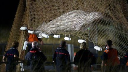 Un béluga égaré dans la Seine est sorti de l'écluse Saint-Pierre-de-la-Garenne&nbsp;(Eure), le 9 août 2022. (JEAN-FRANCOIS MONIER / AFP)