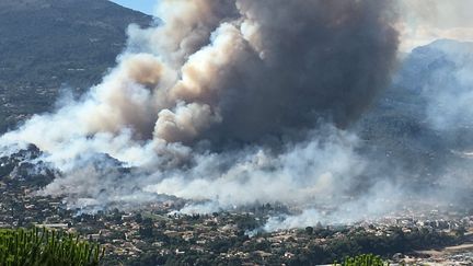 A Carros-les-Plans, au-dessus de la zone industrielle, le feu a pris violemment le 24 juillet 2017. (MAXPPP)