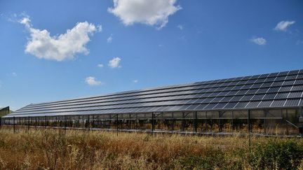 Une usine de panneaux solaires à Narbolia, en Sardaigne, le 15 juin 2015. (GIUSEPPE CACACE / AFP)